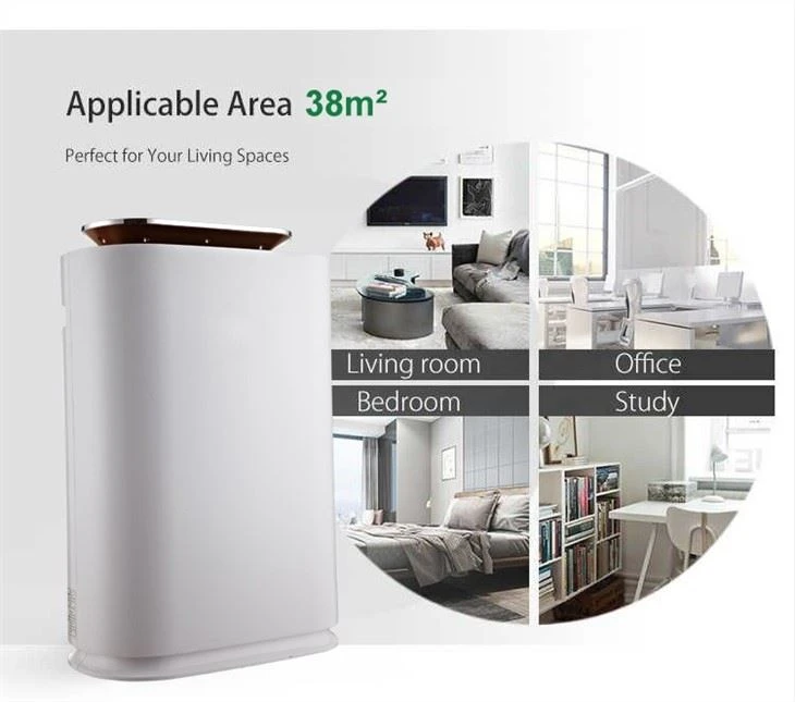 BKJ-300A Air Purifier With Certificates For Sale
