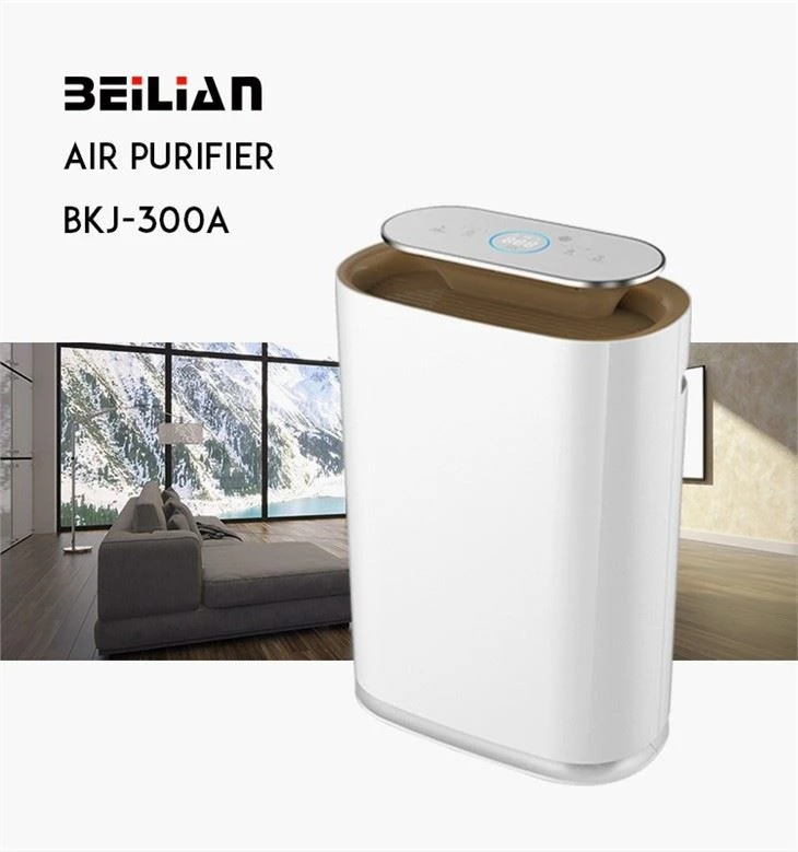 BKJ-300A Air Purifier With Certificates For Sale