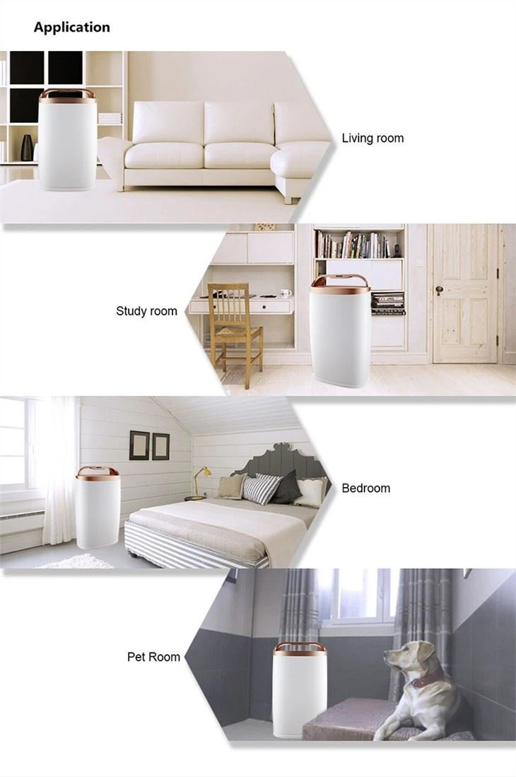 BKJ-306A Home Use Air Purifier Indoor Application