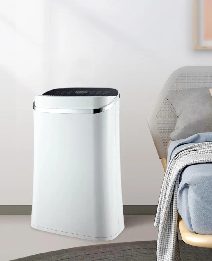 Hot Selling High Efficient Lonizer Air Purifier For Home