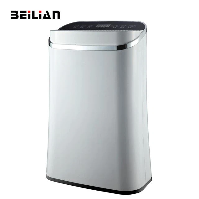 Hot Selling High Efficient Lonizer Air Purifier For Home